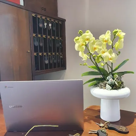 Mirella-nuova Gestione Grado