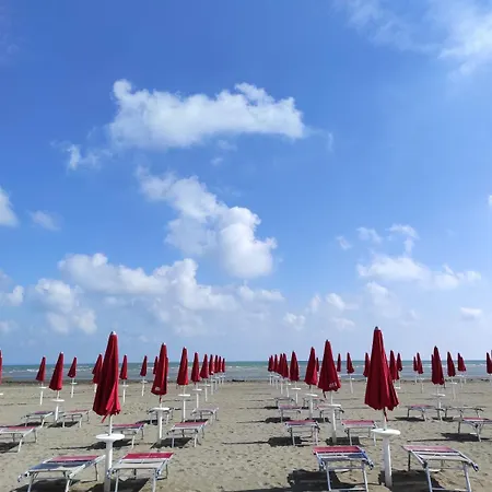 Mirella-nuova Gestione Hotel