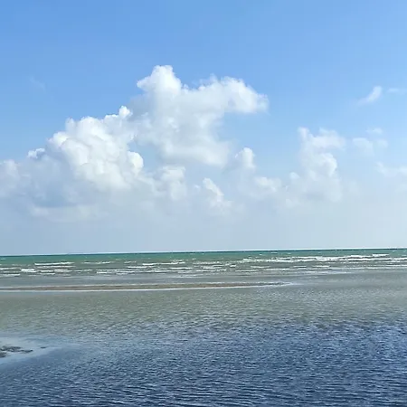 Mirella-nuova Gestione Grado